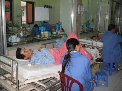 Dân chủ quan, dịch tả vẫn đeo bám 